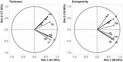 Sarcopenia, frailty, and elective surgery outcomes in the elderly: an observational study with 125 patients (the SAFESOE study)